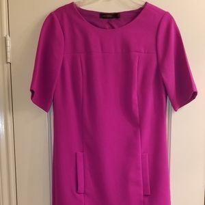 The Limited Sheath Dress w/front pockets